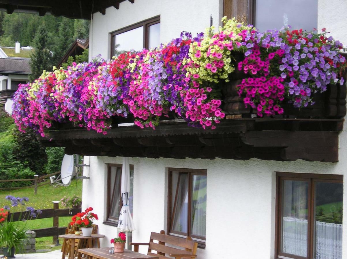 Schernthaner Taxenbach Buitenkant foto